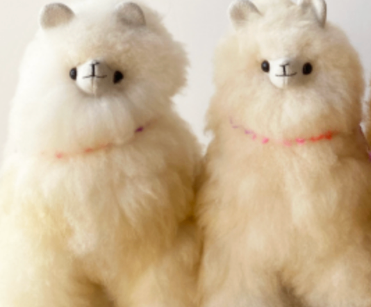 C&Y角野 icon